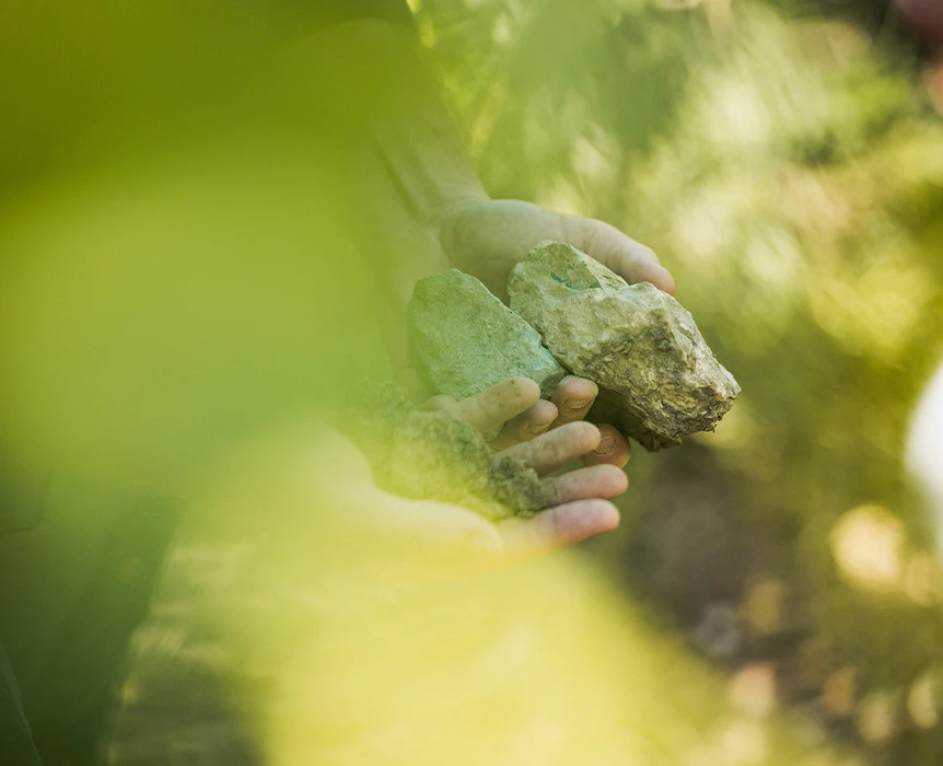 Domaine viticole Apel - Calcaire coquillier