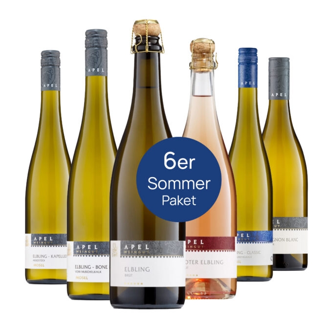 Sechs Flaschen des Weingut Apel Sommerpakets mit Elbling Sekt, Elbling, Riesling und Sauvignon Blanc vor weißem Hintergrund.